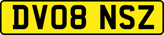 DV08NSZ