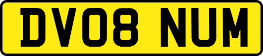 DV08NUM