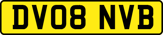 DV08NVB