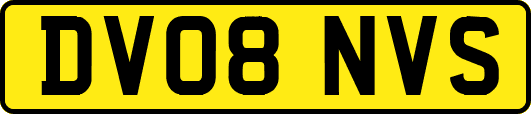 DV08NVS