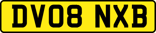 DV08NXB