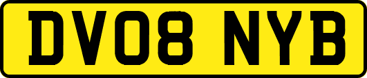 DV08NYB