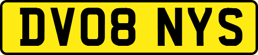 DV08NYS