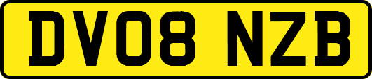 DV08NZB