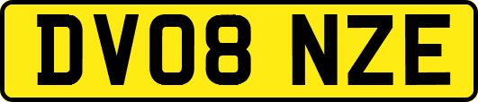 DV08NZE