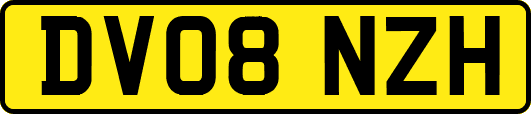 DV08NZH