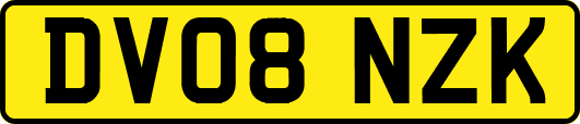 DV08NZK