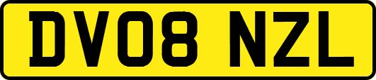 DV08NZL