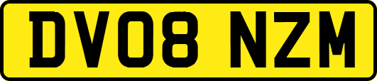 DV08NZM