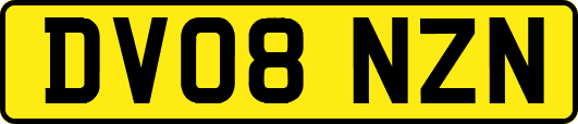 DV08NZN
