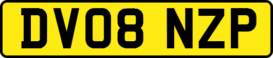 DV08NZP
