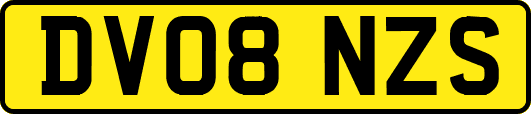 DV08NZS
