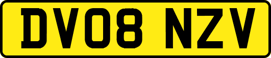 DV08NZV