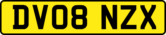 DV08NZX