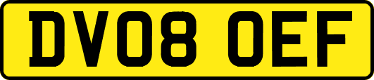 DV08OEF