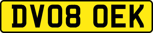 DV08OEK