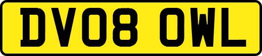 DV08OWL