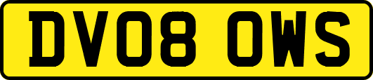 DV08OWS