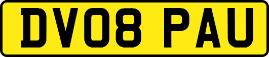 DV08PAU