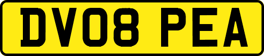DV08PEA