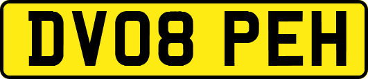 DV08PEH
