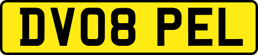 DV08PEL