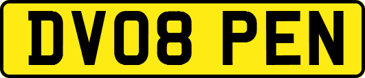 DV08PEN