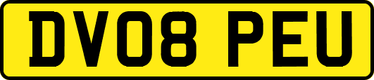 DV08PEU