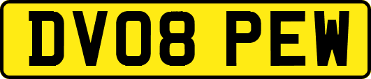 DV08PEW