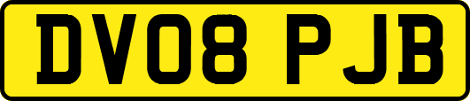 DV08PJB