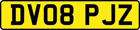 DV08PJZ