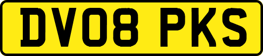 DV08PKS