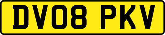 DV08PKV