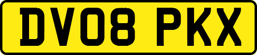 DV08PKX