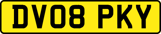 DV08PKY