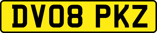 DV08PKZ