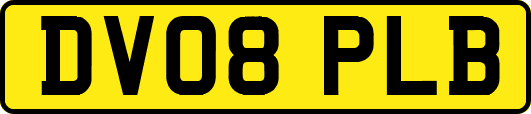 DV08PLB