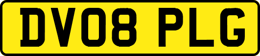 DV08PLG