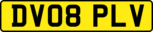 DV08PLV