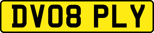 DV08PLY