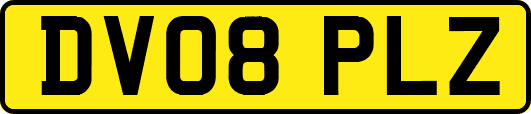 DV08PLZ