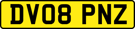 DV08PNZ