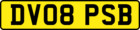 DV08PSB