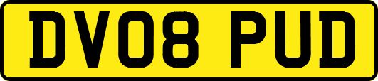 DV08PUD