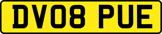 DV08PUE