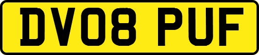 DV08PUF