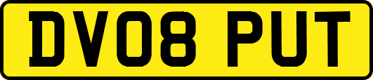DV08PUT