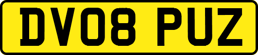 DV08PUZ