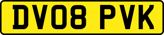 DV08PVK