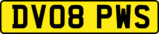 DV08PWS